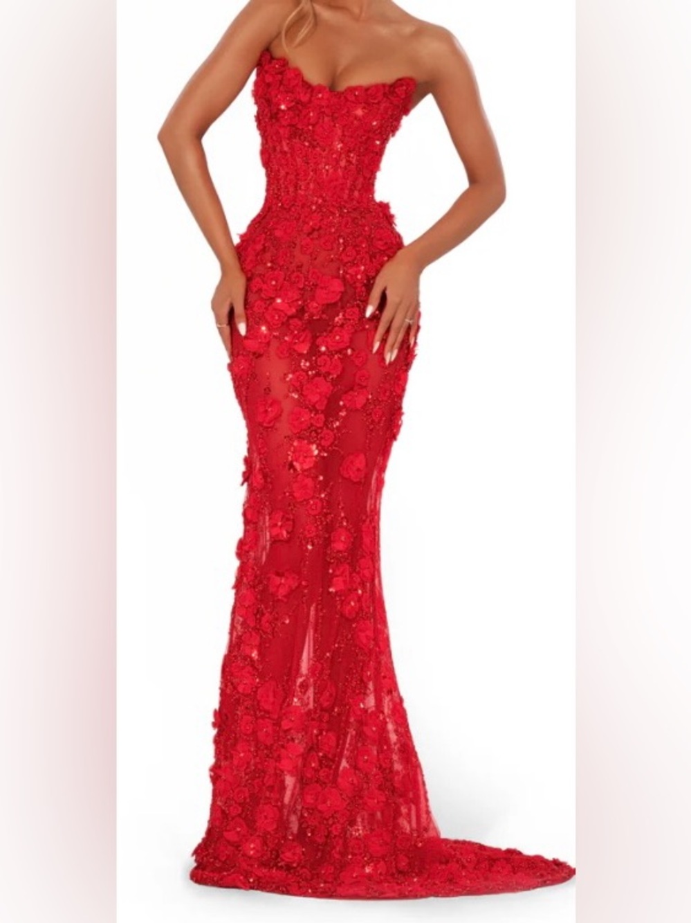 Albina Dyla Red Strapless Red Floral Applique Evening Gown sz 14